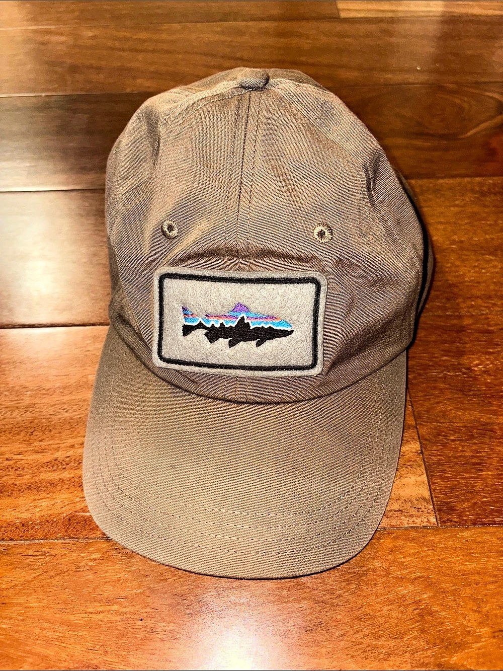 Patagonia Fitz Roy Trout Trucker Hat Brown & Black
